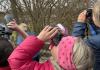 Kinderkurs_News